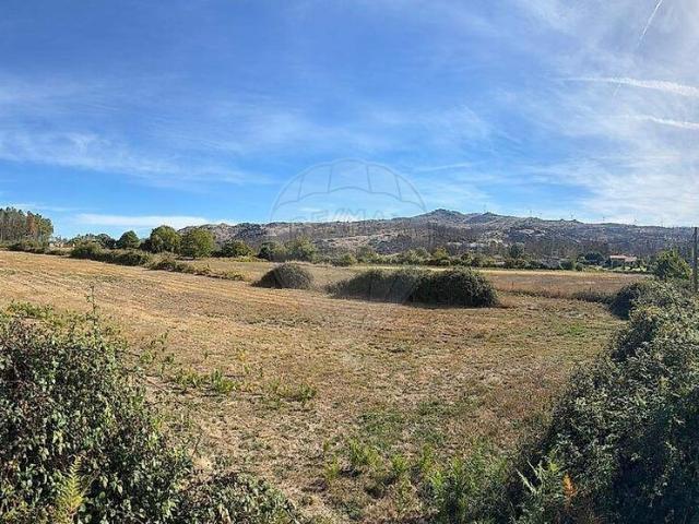 Quinta à venda em Carapito, Aguiar da Beira RE/MAX Portugal