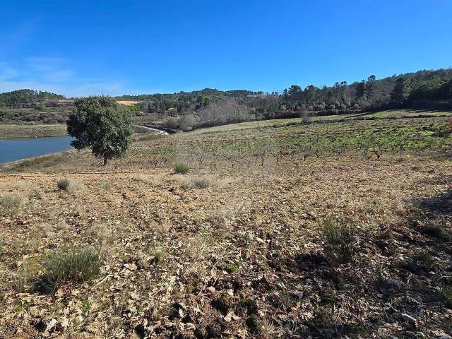 Quinta à venda em Caria, Belmonte RE/MAX Portugal