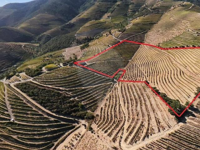Quinta à venda em Castanheiro do Sul, São João da Pesqueira RE/MAX Portugal