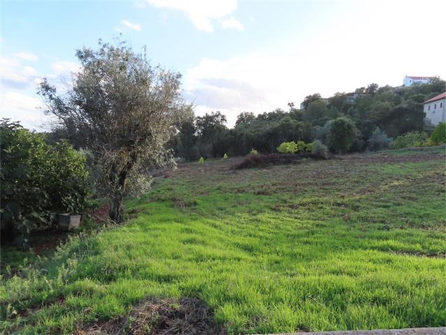 Quinta à venda em Castelo Branco