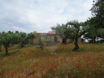 Quinta à venda em Castelo Branco