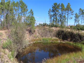Quinta à venda em Castelo Branco