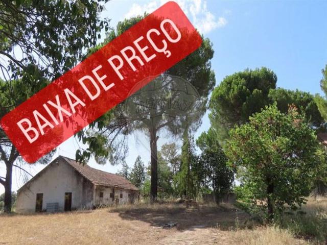 Quinta à venda em Castelo Branco