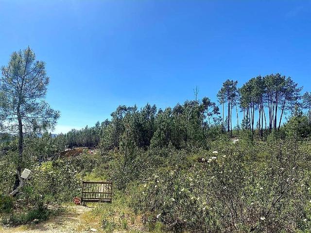 Quinta à venda em Castelo Branco, Castelo Branco RE/MAX Portugal