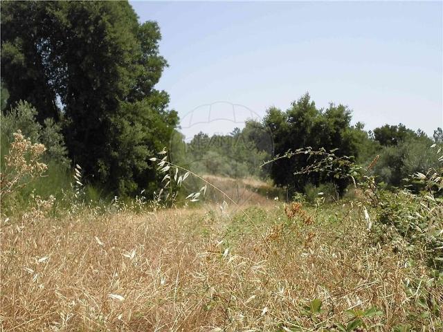 Quinta à venda em Castelo Branco, Castelo Branco RE/MAX Portugal