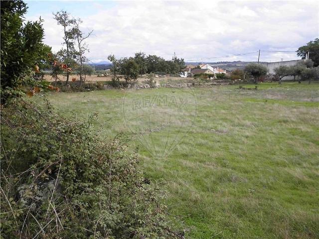 Quinta à venda em Castelo Branco, Castelo Branco RE/MAX Portugal
