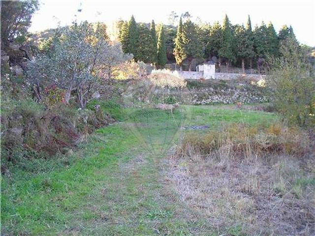 Quinta à venda em Castelo Branco, Castelo Branco RE/MAX Portugal