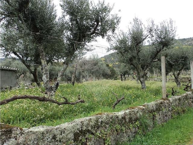 Quinta à venda em Castelo Branco, Castelo Branco RE/MAX Portugal