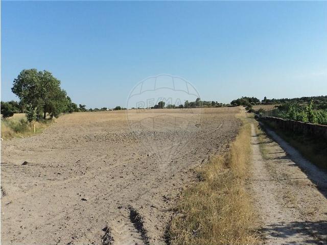 Quinta à venda em Castelo Branco, Castelo Branco RE/MAX Portugal