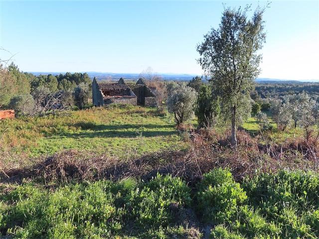 Quinta à venda em Castelo Branco, Castelo Branco RE/MAX Portugal