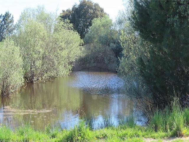 Quinta à venda em Castelo Branco, Castelo Branco RE/MAX Portugal