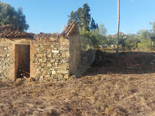 Quinta à venda em Casas Novas