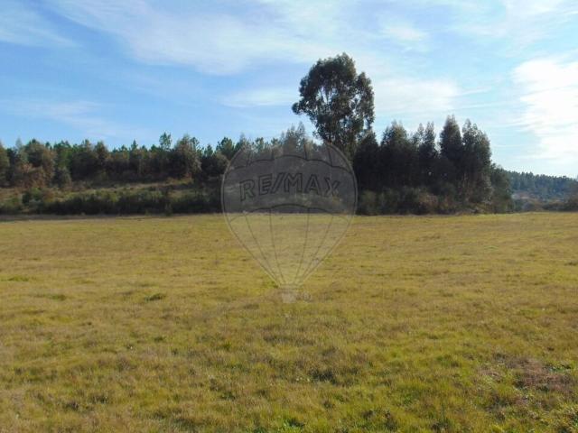 Quinta à venda em Celorico da Beira