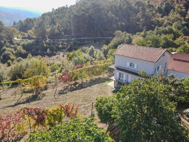 Quinta à venda em Cinfães, Cinfães RE/MAX Portugal