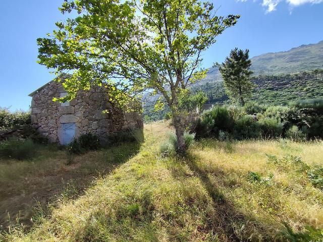 Quinta à venda em Cortes do Meio, Covilhã RE/MAX Portugal