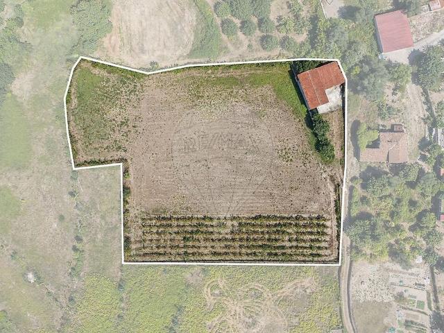 Quinta à venda em Coucieiro, Vila Verde RE/MAX Portugal