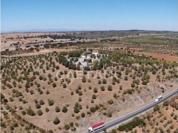 Quinta à venda em Elvas 0m² Vila Boim
