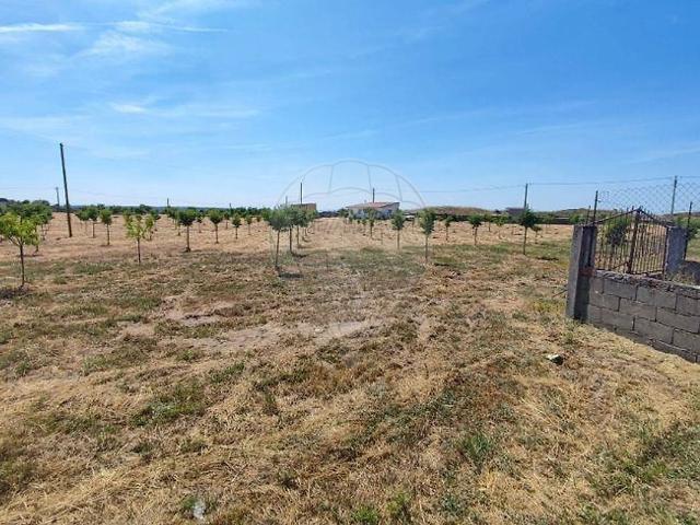 Quinta à venda em Escalhão, Figueira de Castelo Rodrigo RE/MAX Portugal