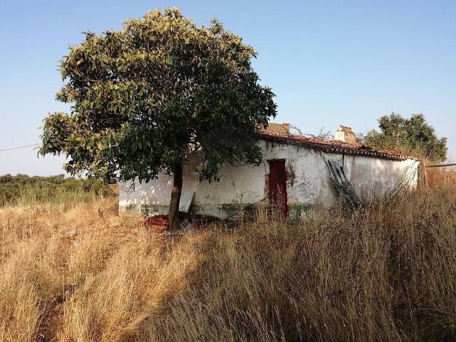 Quinta à venda em Estremoz Santa Maria e Santo André, Estremoz RE/MAX Portugal