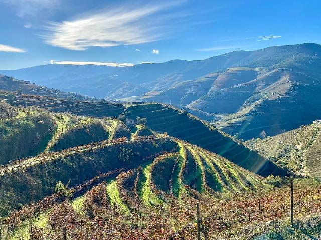 Quinta à venda em Ervedosa do Douro, São João da Pesqueira RE/MAX Portugal