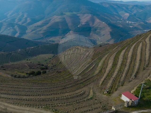 Quinta à venda em Ervedosa do Douro, São João da Pesqueira RE/MAX Portugal
