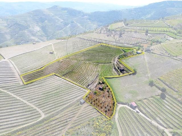 Quinta à venda em Ervedosa do Douro, São João da Pesqueira RE/MAX Portugal