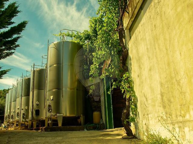 Quinta à venda em Ervedosa do Douro, São João da Pesqueira RE/MAX Portugal
