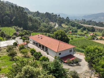 Penacova, Felgueiras, Felgueiras, Distrito de Porto