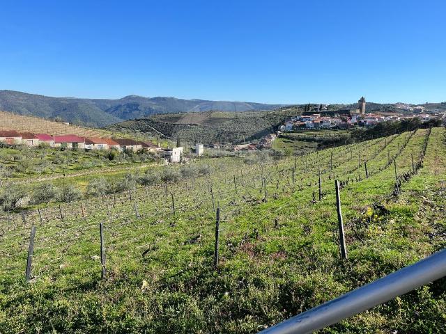 Quinta à venda em Freixo de Espada à Cinta