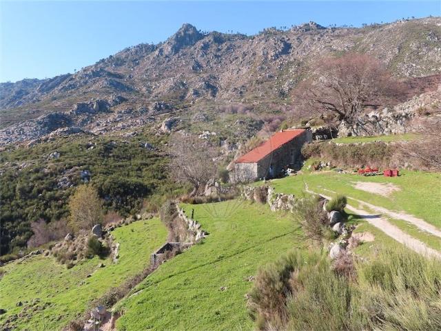 Quinta à venda em Fundão