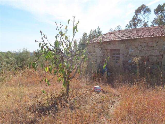 Quinta à venda em Fundão