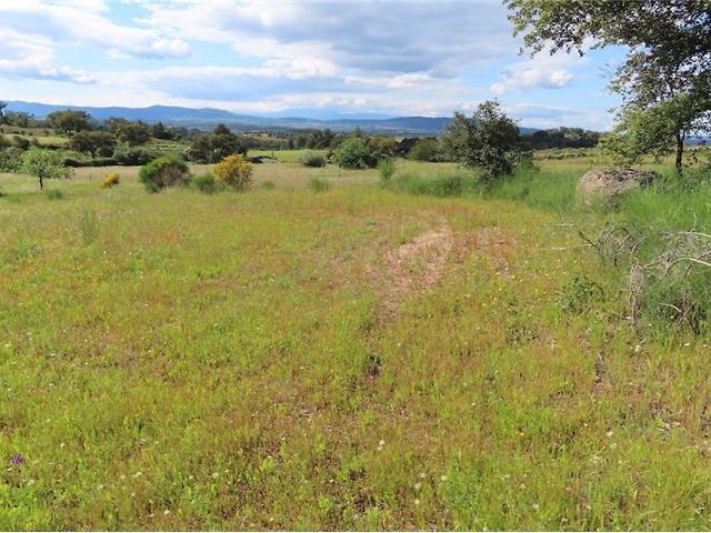Quinta à venda em Idanha a Nova e Alcafozes, Idanha a Nova RE/MAX Portugal