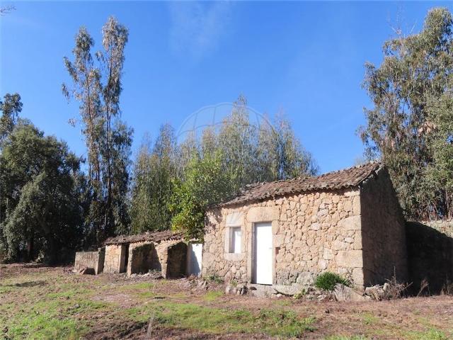 Quinta à venda em Idanha a Nova