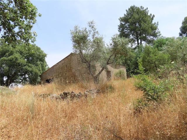 Quinta à venda em Idanha a Nova