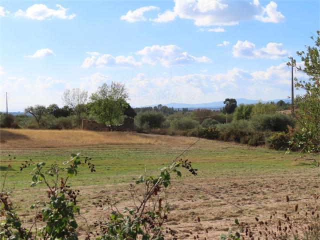 Quinta à venda em Idanha a Nova