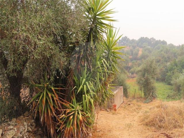 Quinta à venda em Idanha a Nova