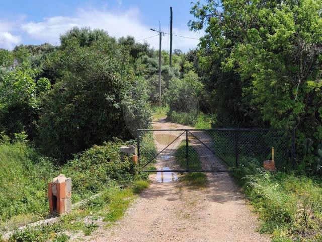 Quinta à venda em Lagoa Algarve