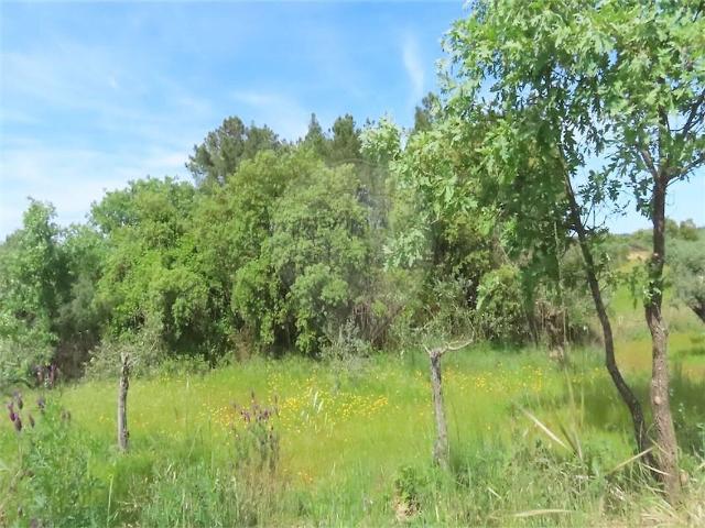 Quinta à venda em Lardosa, Castelo Branco RE/MAX Portugal