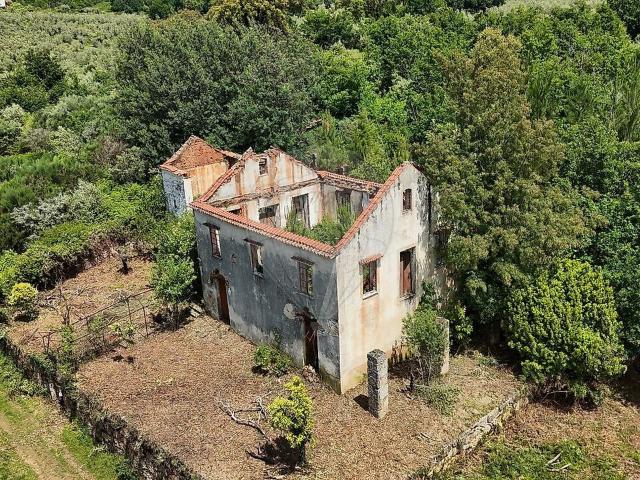 Quinta à venda em Lourosa, Oliveira do Hospital RE/MAX Portugal