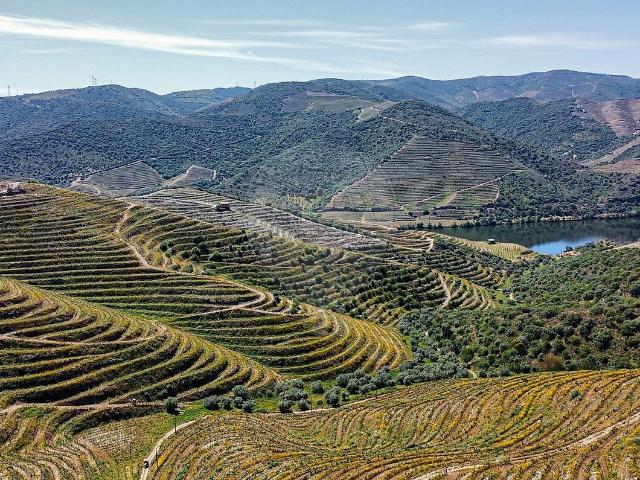 Quinta à venda em Lousa, Torre de Moncorvo RE/MAX Portugal