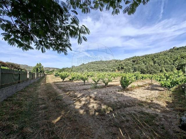 Quinta à venda em Maçaínhas, Belmonte RE/MAX Portugal