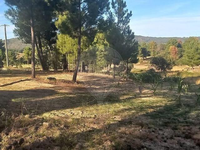 Quinta à venda em Maçal do Chão, Celorico da Beira RE/MAX Portugal