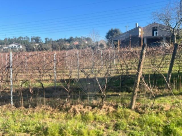 Quinta à venda em Mangualde