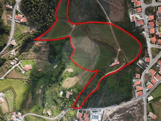 Quinta à venda em Margaride Santa Eulália, Várzea, Lagares, Varziela e Moure, Felgueiras RE/MAX Portugal