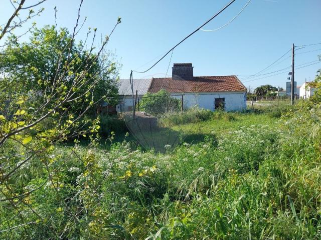 Quinta à venda em Montemor o Novo