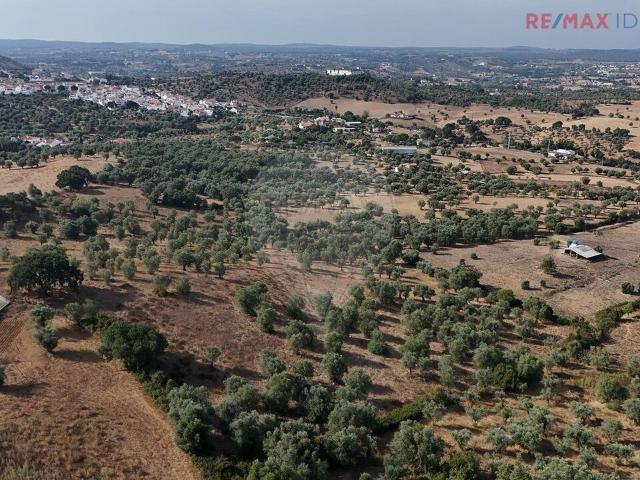 Quinta à venda em Montemor o Novo