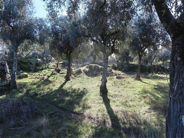 Quinta à venda em Monfortinho e Salvaterra do Extremo, Idanha a Nova RE/MAX Portugal