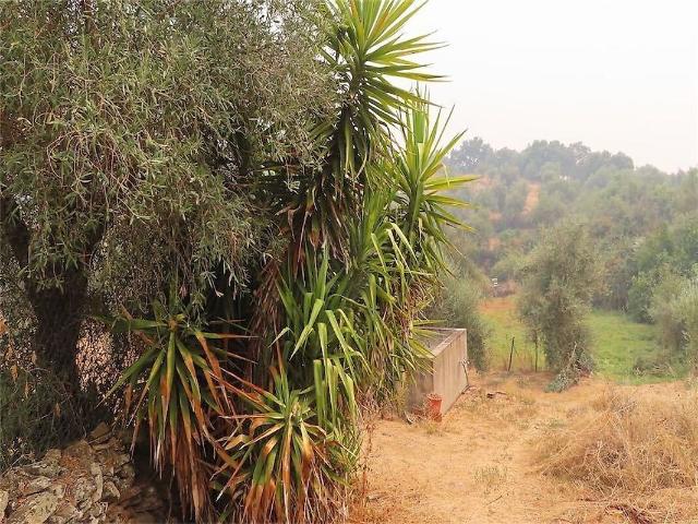 Quinta à venda em Monfortinho e Salvaterra do Extremo, Idanha a Nova RE/MAX Portugal