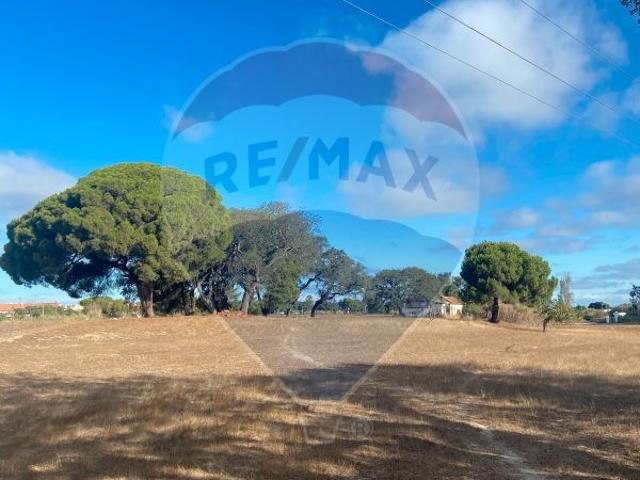 Quinta à venda em Moita, Moita RE/MAX Portugal