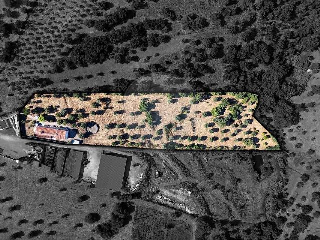 Quinta à venda em Mouriscas, Abrantes RE/MAX Portugal